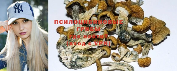 прущие крисы Кукмор