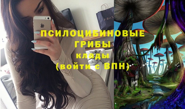 винт Куйбышев