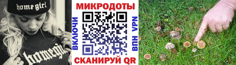 ссылка на мегу маркетплейс Томари Галлюциногенные грибы Psilocybe